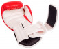 Preview: OKAMI fightgear Boxhandschuhe Striker